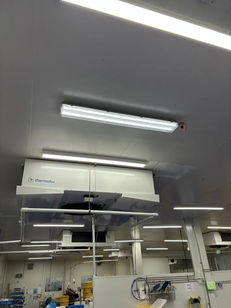 Commercial cold room lighting and electrical installation by Amplus Electrical and Air — electrician Capalaba serving Brisbane Bayside businesses